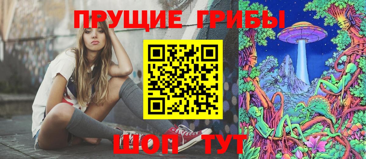 Кизляр  Псилоцибиновые грибы прущие грибы  Вход с VPN  Галлюциногенные грибы Cubensis 