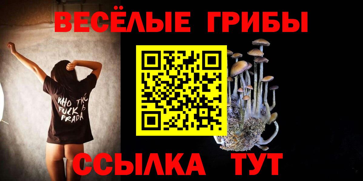 Галлюциногенные грибы ЛСД Кизляр